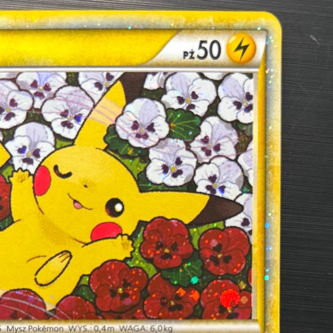 ピカチュウワールド　ポーランド