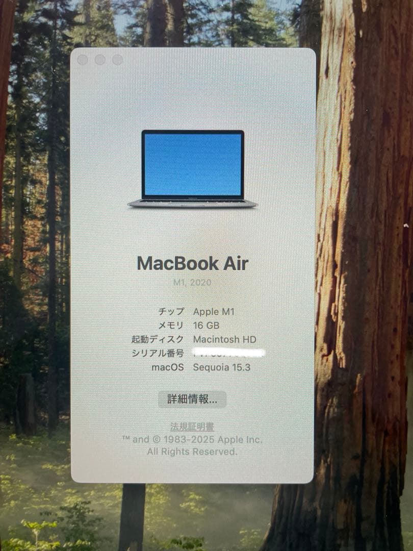 MacBook本体 Apple MacBook Air (M1, 2020)