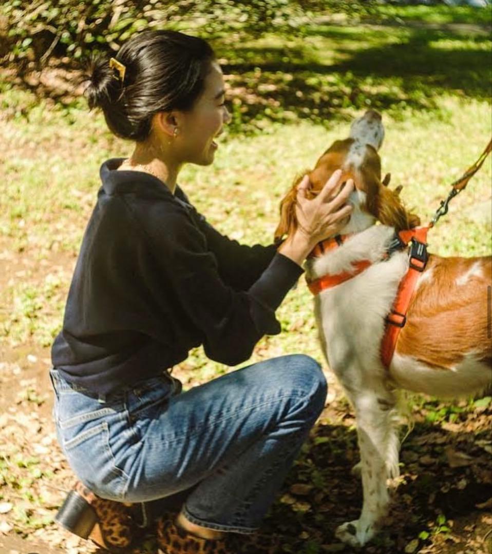 HOPE weshapehope かんざし