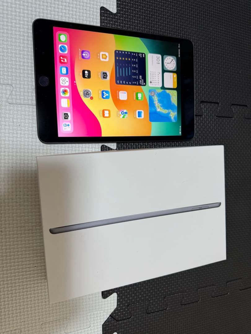 iPad本体 iPad mini 5 64GB Cellular Au