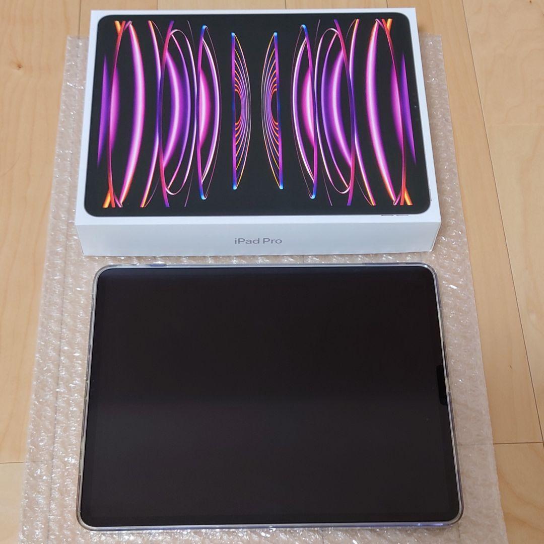 iPad Pro 12.9インチ　第6世代　256GB　Wi-Fiモデル