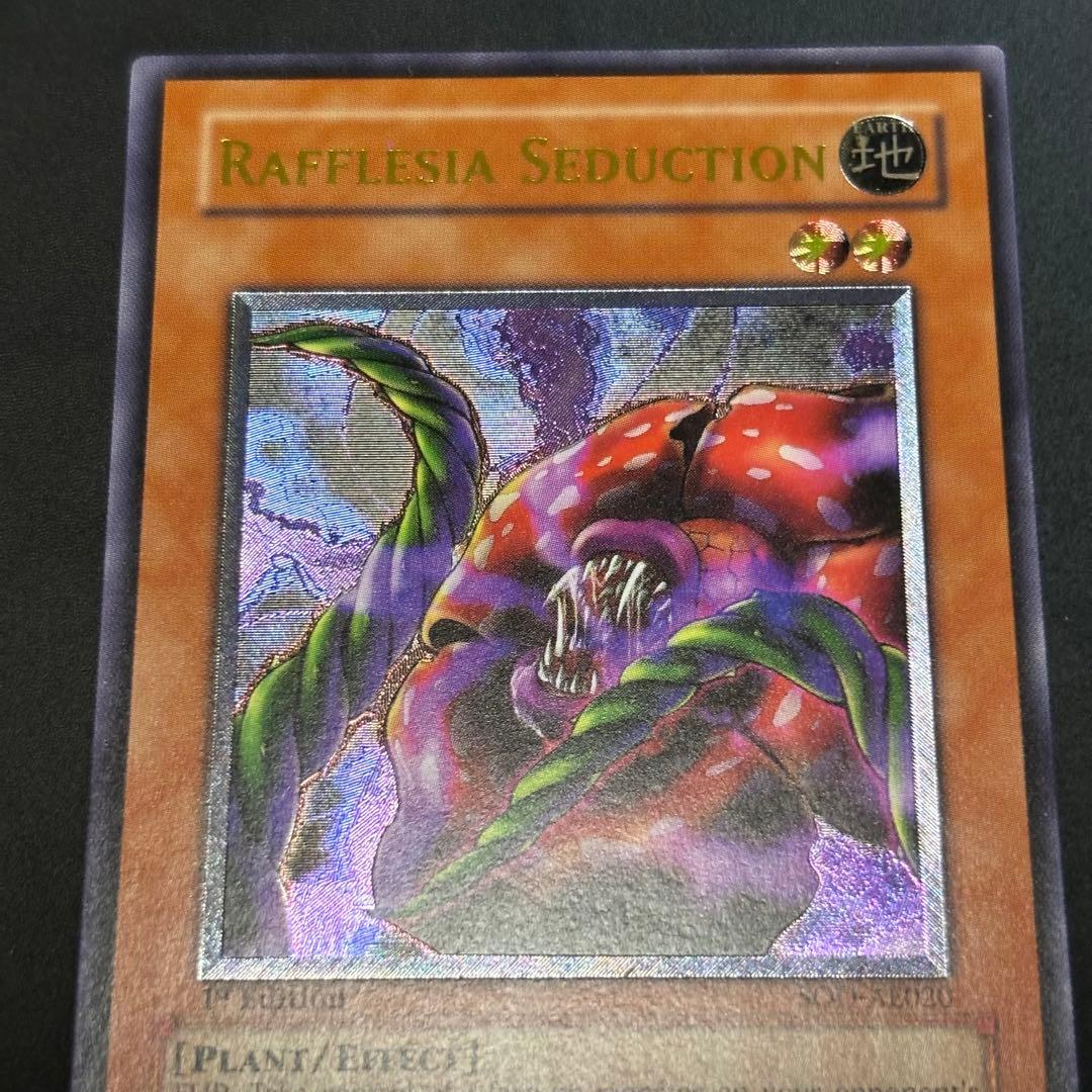 遊戯王　幻惑のラフレシア　旧アジア版　レリーフ