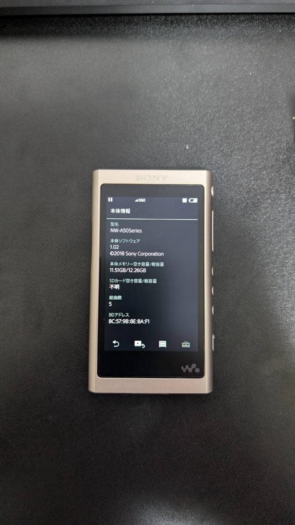 ポータブルプレーヤー SONY NW-A55 16GB