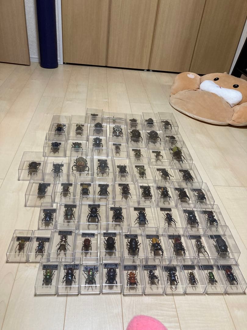 ディアゴスティーニ世界の昆虫全64種コンプリート　クワガタカブトムシ　フィギュア