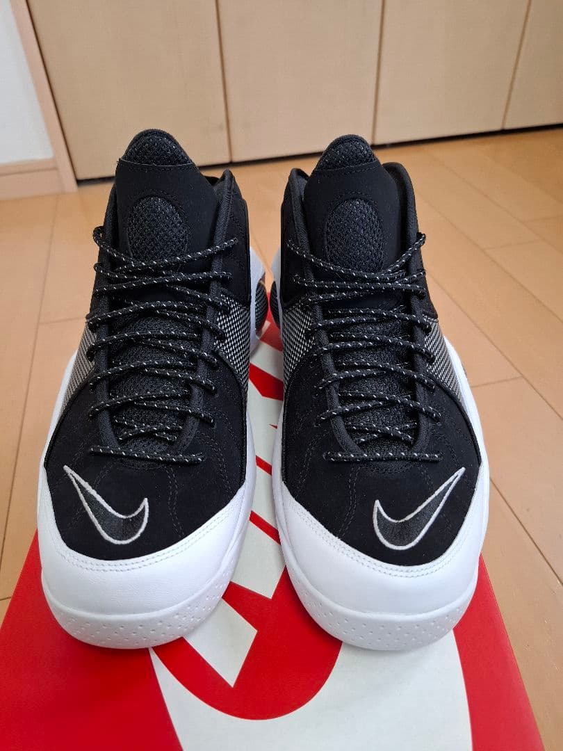 NIKE ズームフライト95 US10 美品