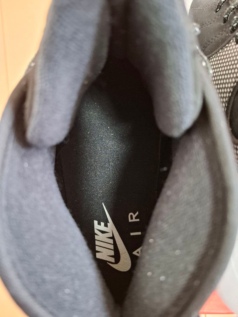 NIKE ズームフライト95 US10 美品