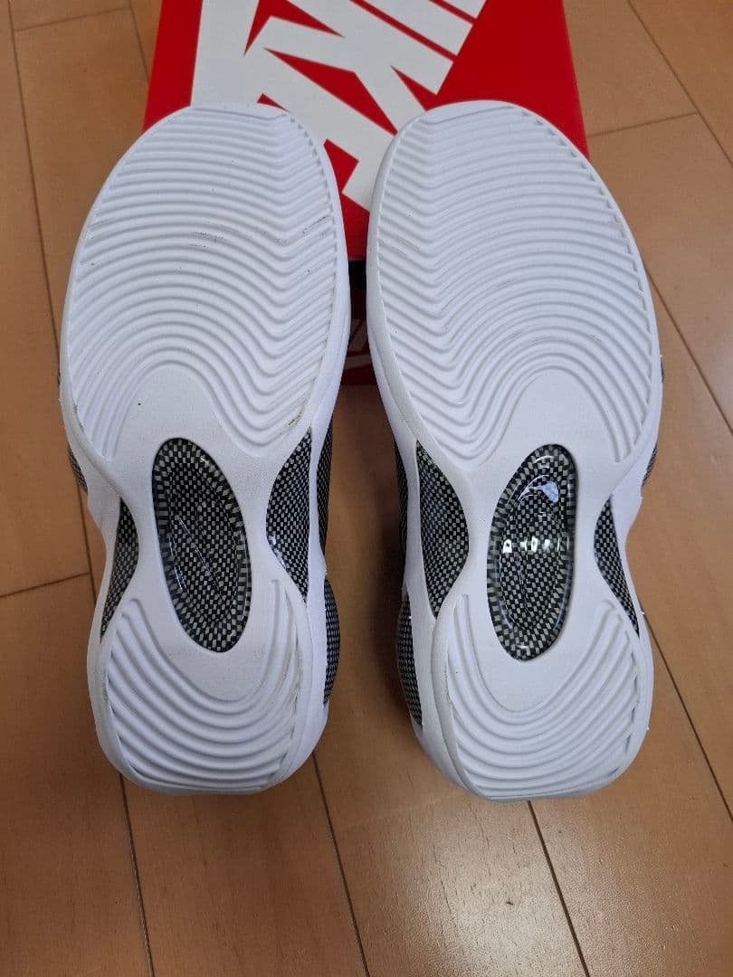 NIKE ズームフライト95 US10 美品