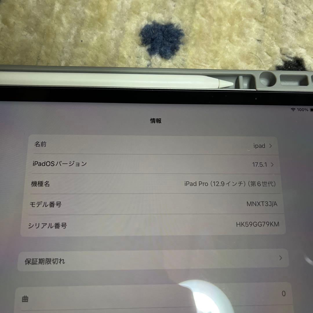 【美品】 iPad Pro 12.9(第6世代)256GB+pencil