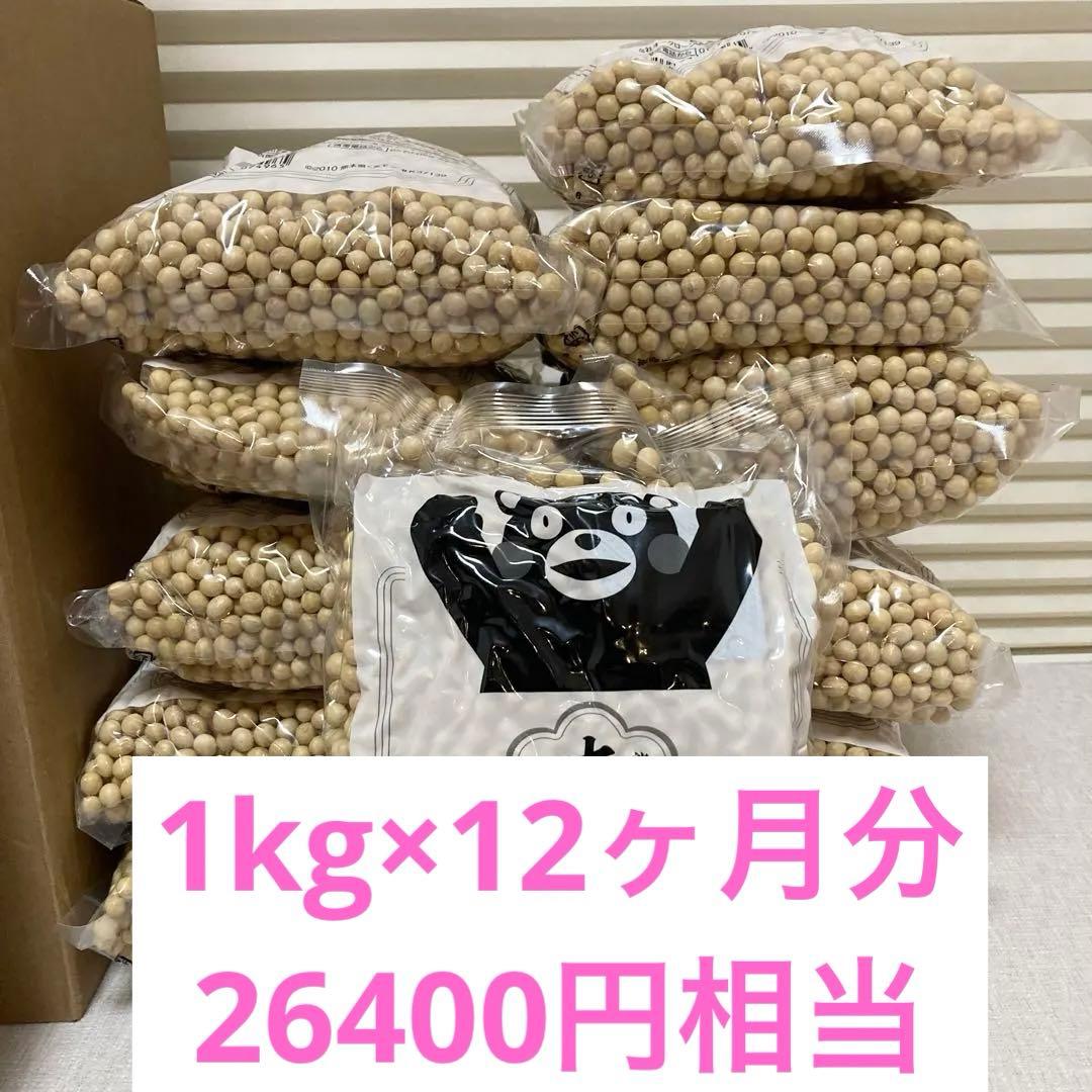 【週末セール中】SOY RICH 豆乳メーカー 赤　特別セット
