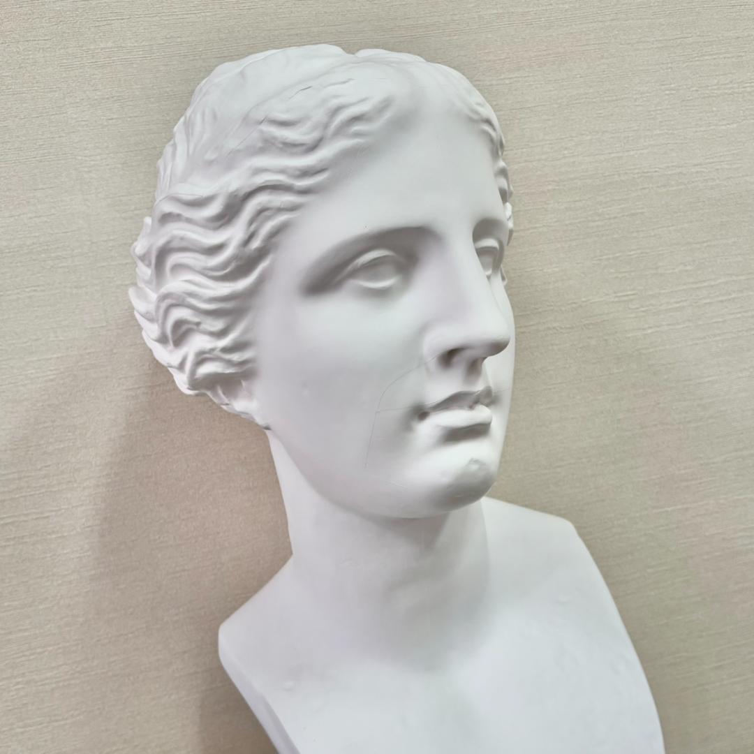ヴィーナス胸像 デッサン用 石膏像 胸像 中古 教材 オブジェ インテリア 美術