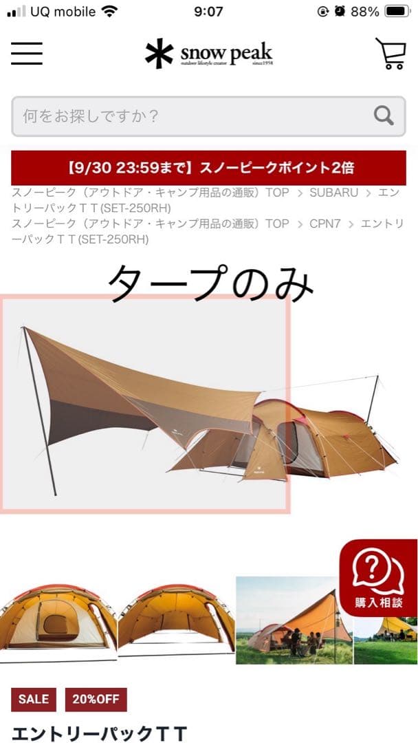 ヤ*リ様 値下げ_peakエントリーパックTT SET-250付属ヘキサ