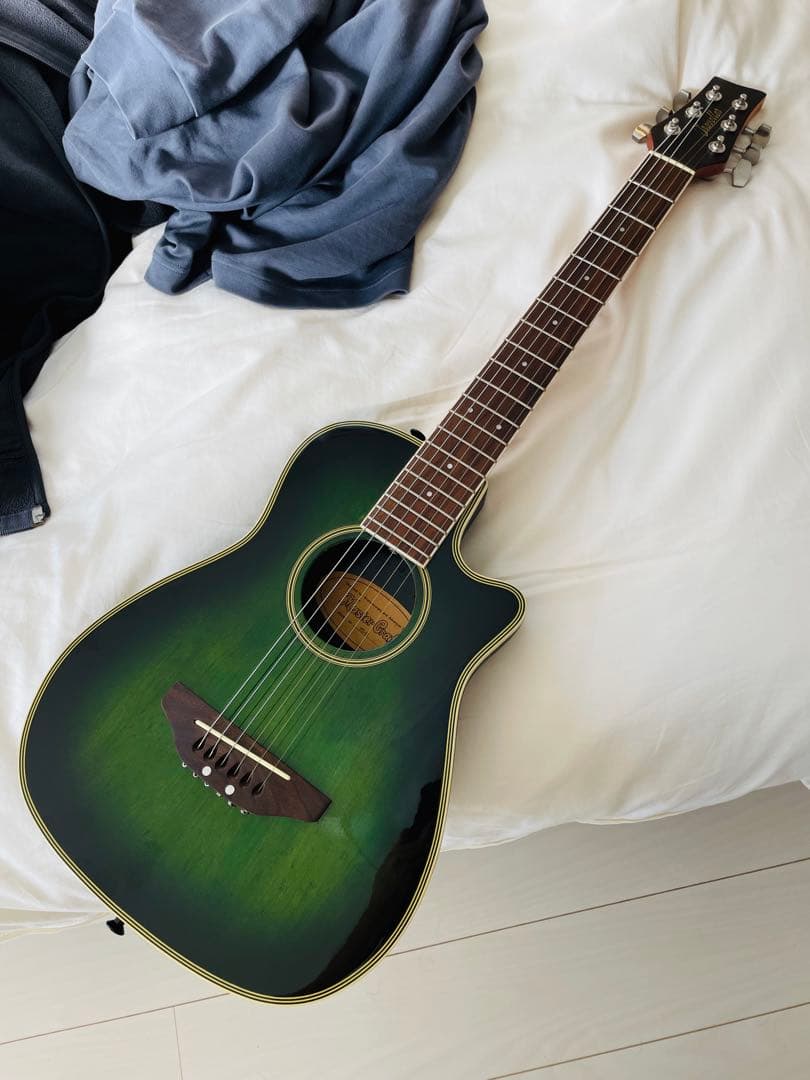 【たいきたいきん】マスタークラフト　ミニエレアコギター