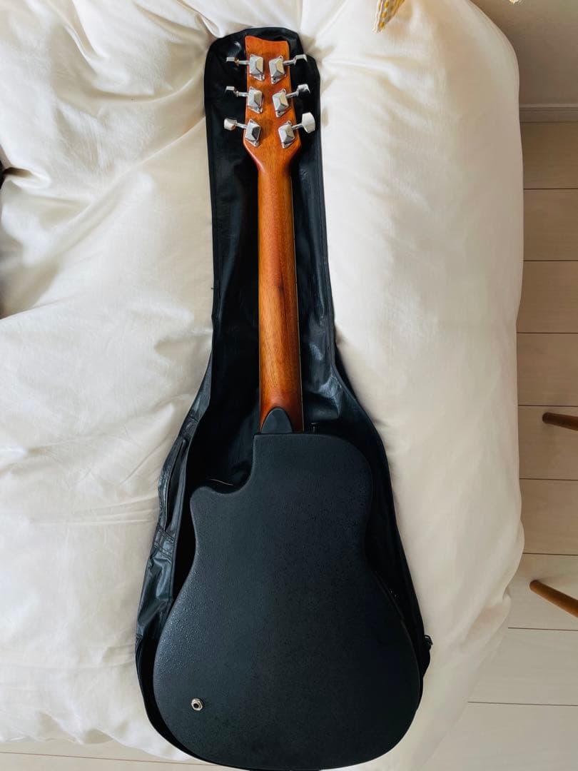 【たいきたいきん】マスタークラフト　ミニエレアコギター