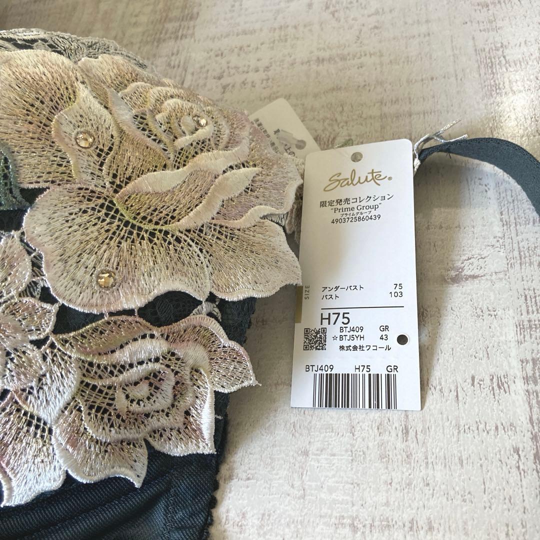 【サルート】 H75&ボーイレングスL インドの花嫁　09G