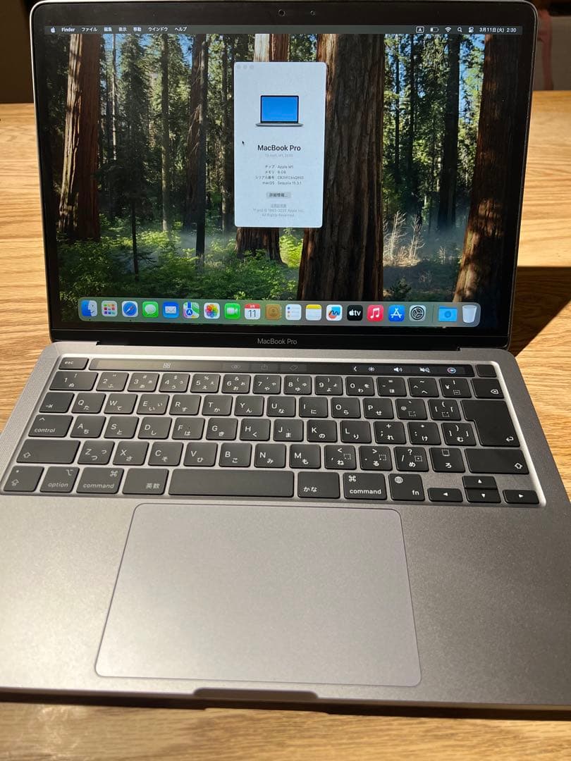 MacBook Pro 13インチ Apple M1 256GB メモリ8GB