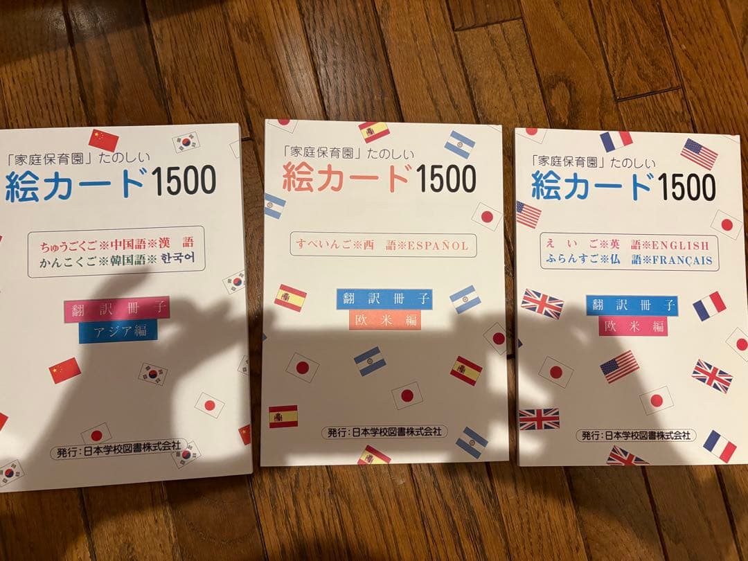 未使用　家庭保育園　たのしい絵カードセット　インデックス　チューター