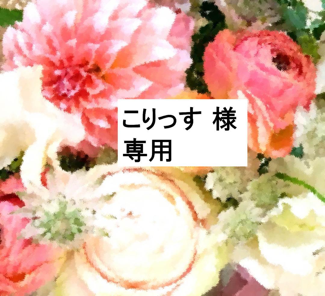 こりっす  DWE Zippy and Me 美品 DVD3枚 CD3枚