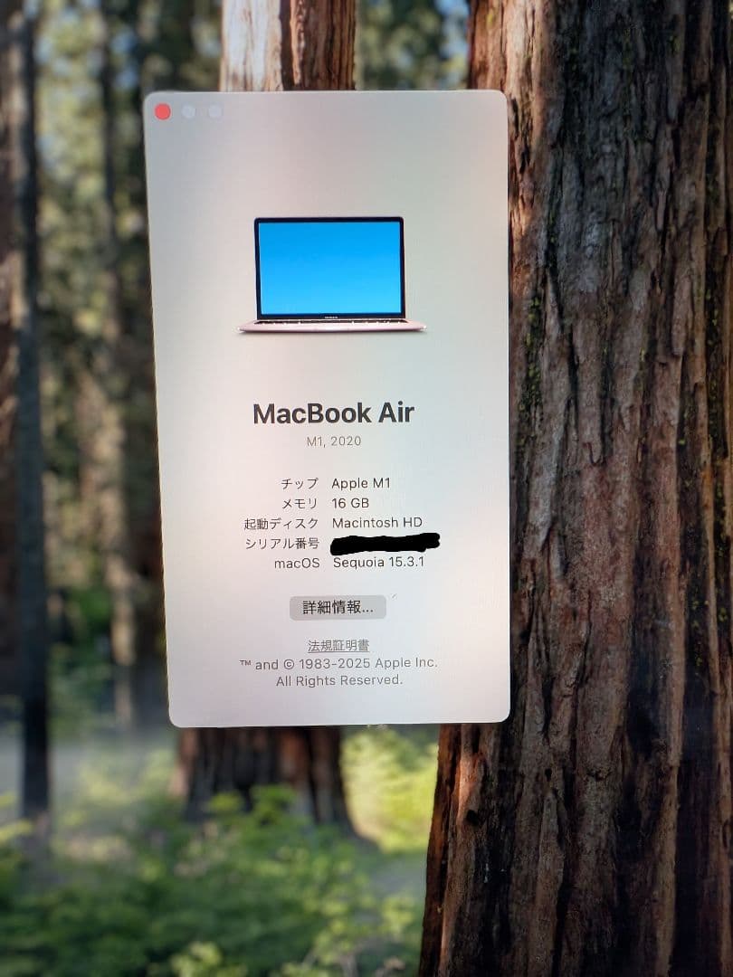 【最終値下げ】MacBookAir M1 ローズゴールド 1TB 13インチ