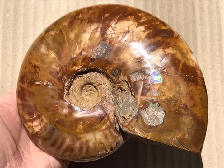 がく様 リクエスト 2点 まとめ商品