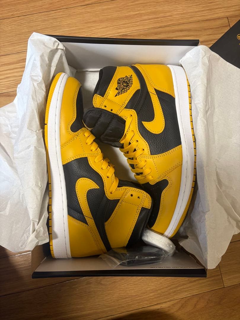 Nike Air Jordan 1 High OG Pollen 28.0㎝
