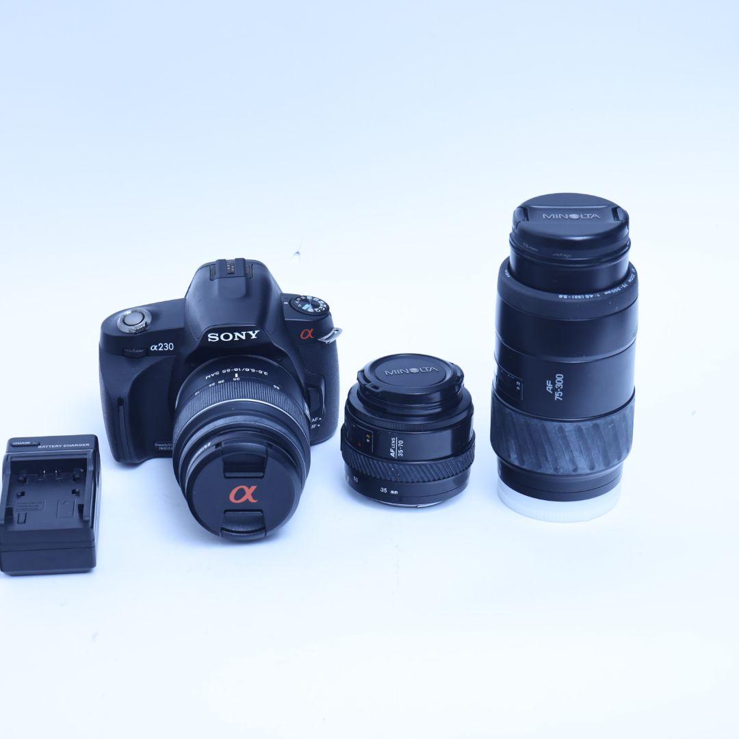 SONY 一眼レフデジタルカメラ 電池 充電器 標準レンズ付 α230