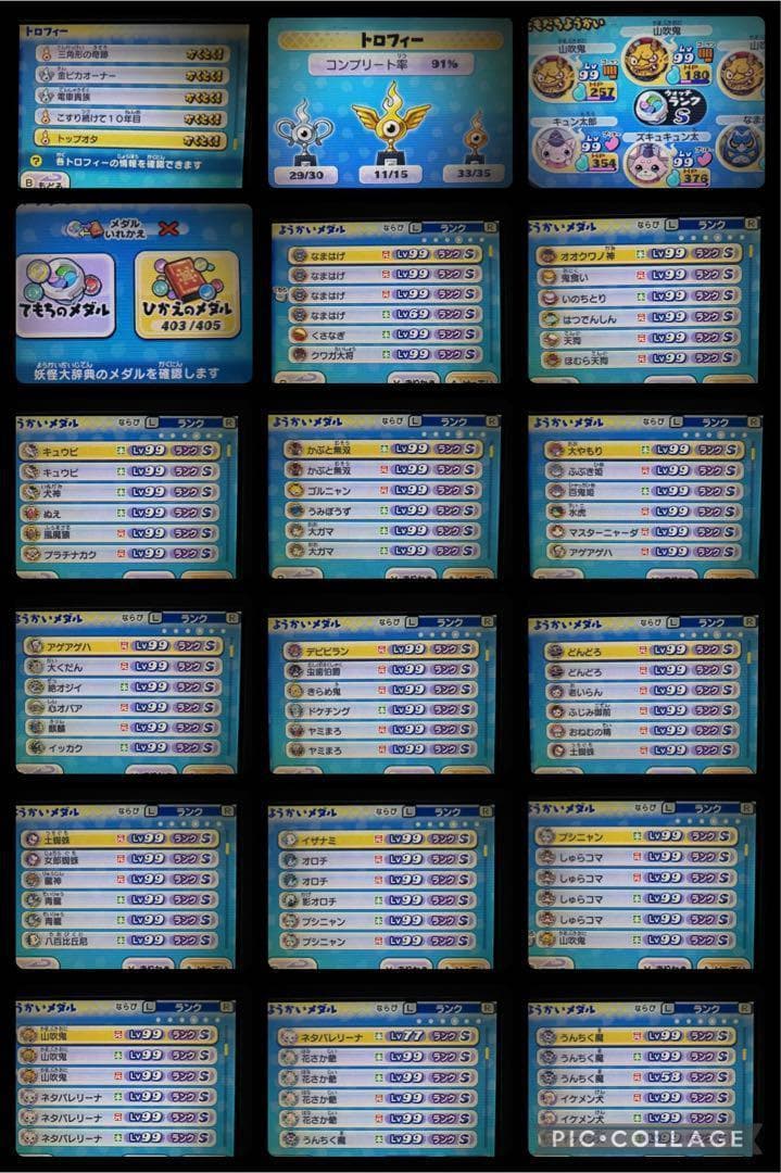 ケースなし　妖怪ウォッチ2 真打　魂最強データ入りソフト