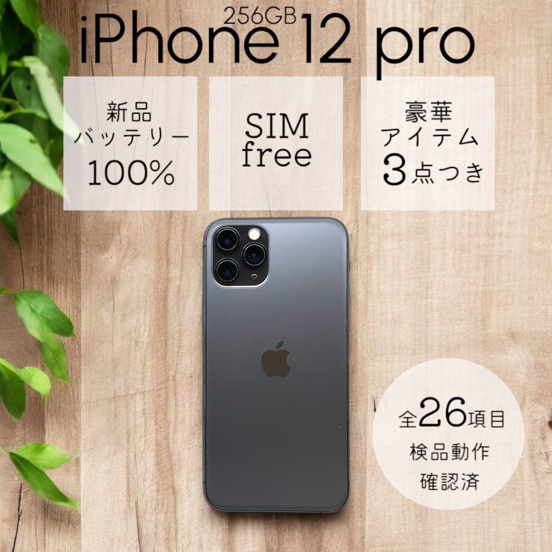 iPhone12 Pro 本体 256GB SIMフリー グラファイト