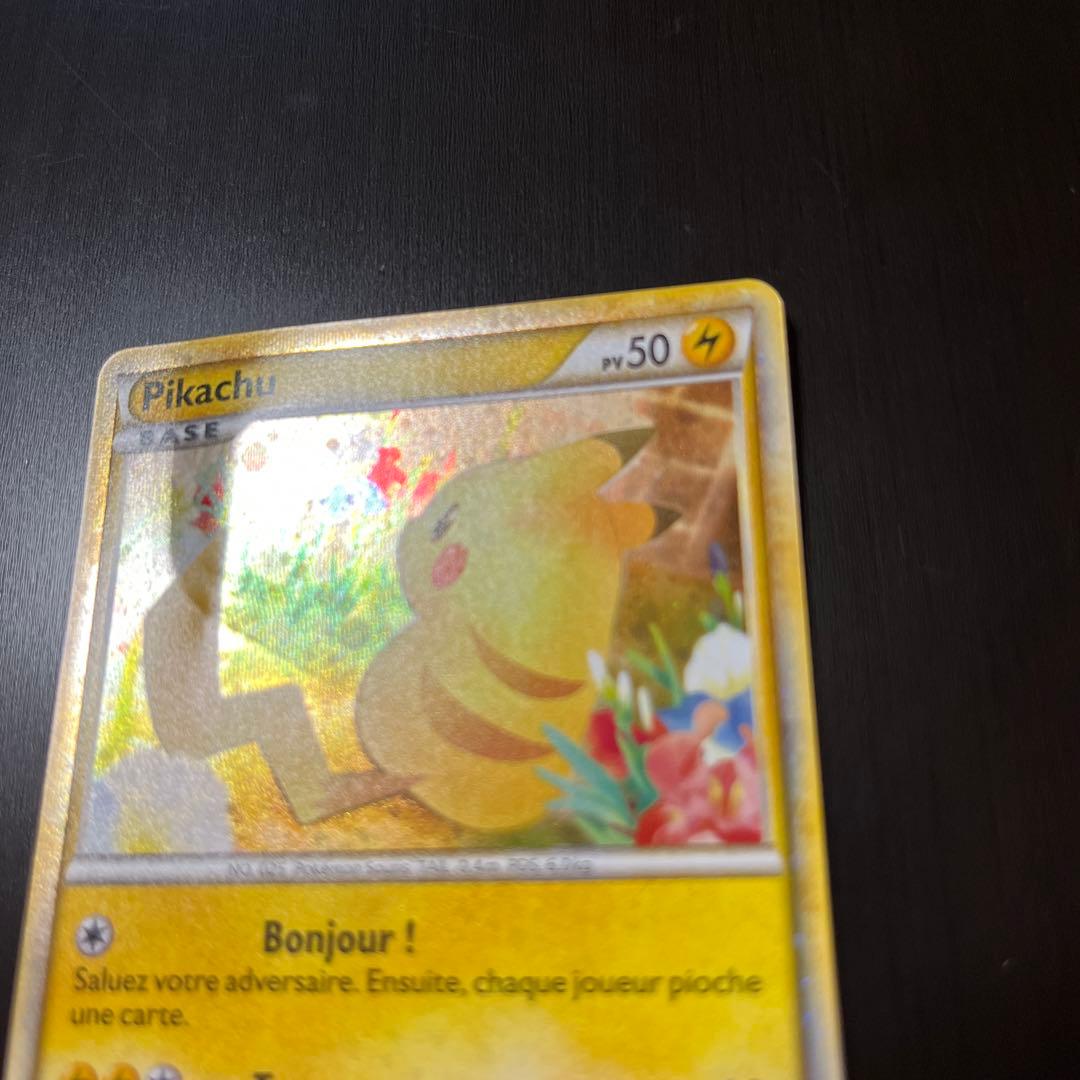 PWピカチュウワールド フランス ピカチュウ LEGEND