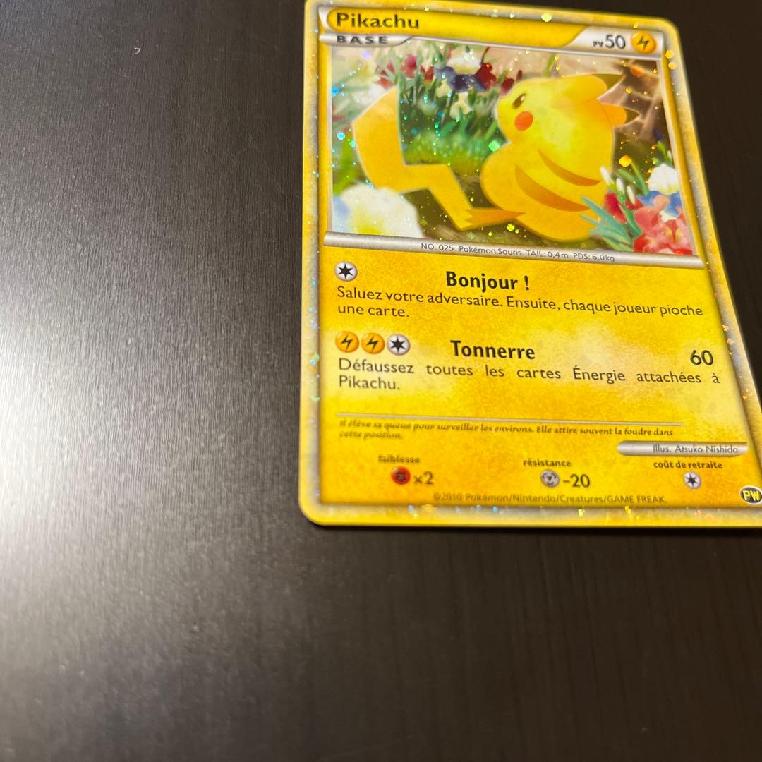 PWピカチュウワールド フランス ピカチュウ LEGEND