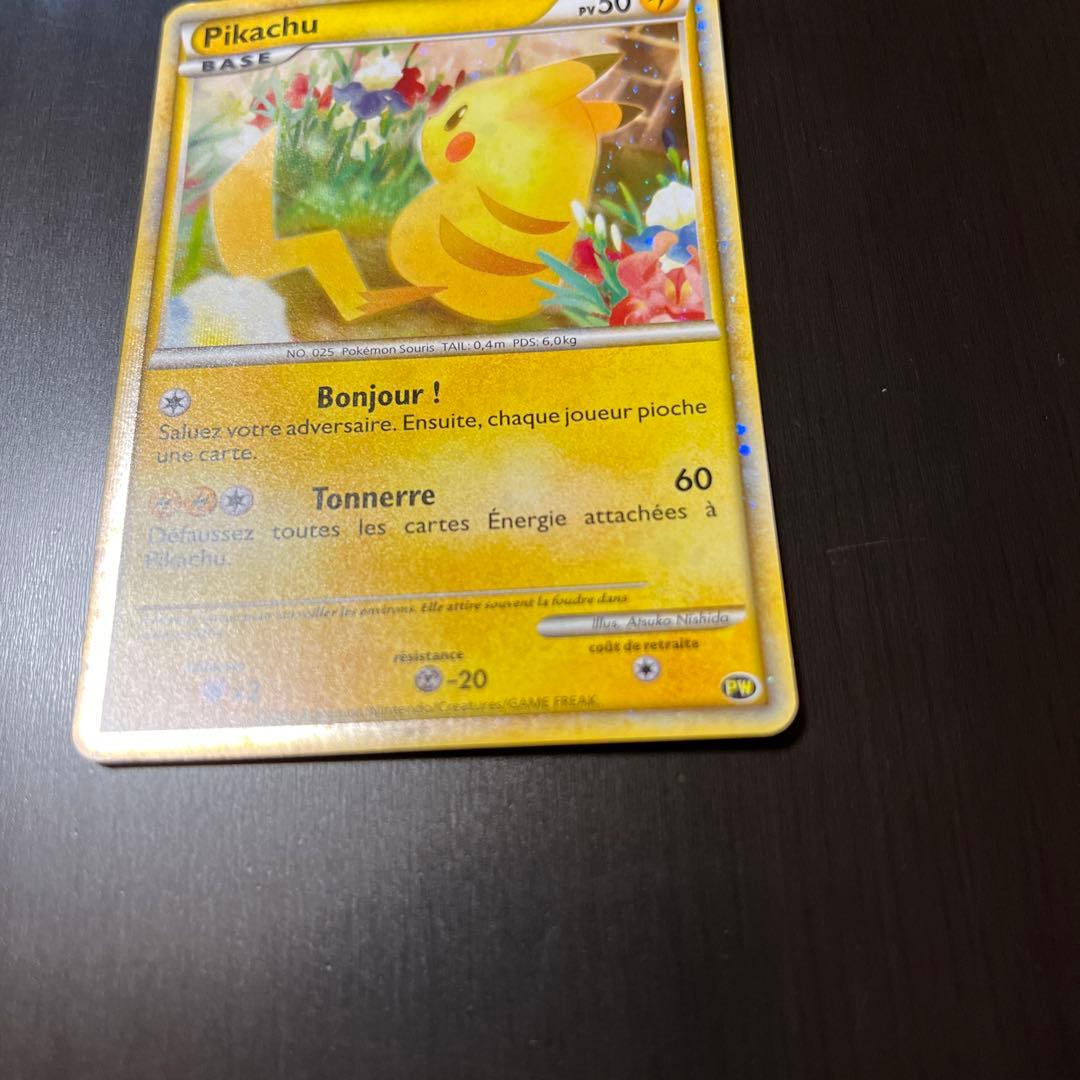 PWピカチュウワールド フランス ピカチュウ LEGEND