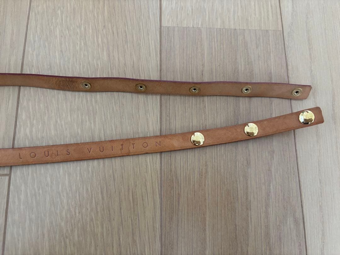 Louis Vuitton モノグラム ポシェット フロランティーヌ