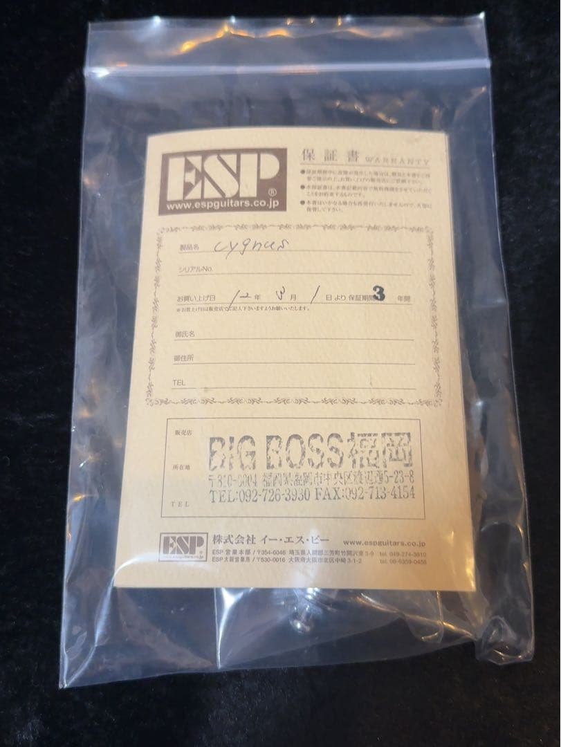 【美品】ESP Cygnus 廃盤　本人直筆サイン入り