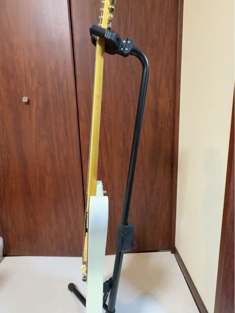 【美品】ESP Cygnus 廃盤　本人直筆サイン入り