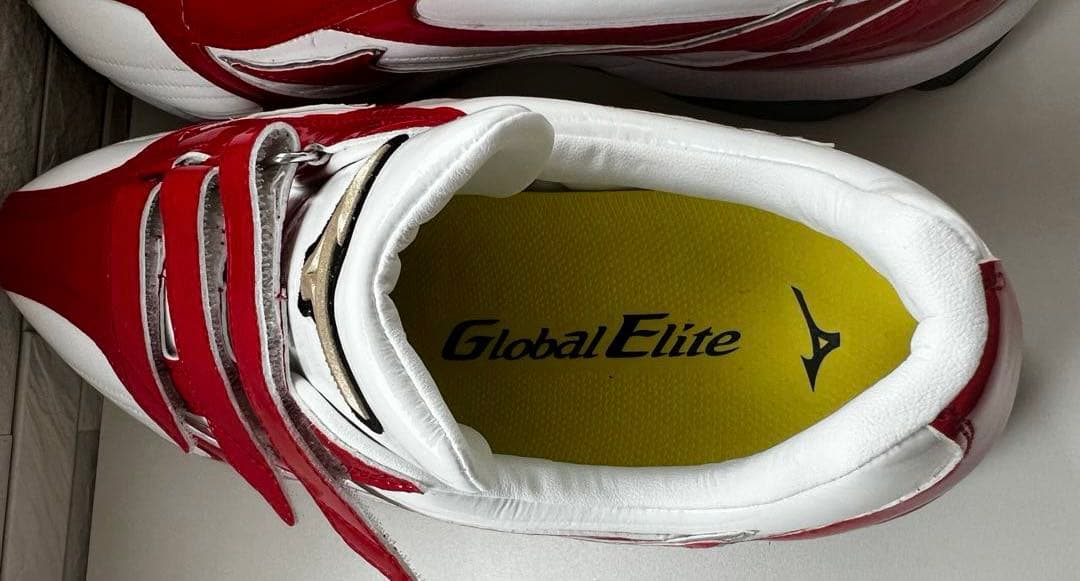 Mizuno オーダー トレーニングシューズ 新品未使用 28.5cm