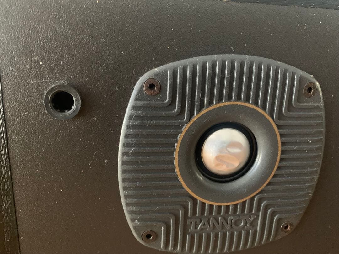 ハ*ウ様 TANNOY E11