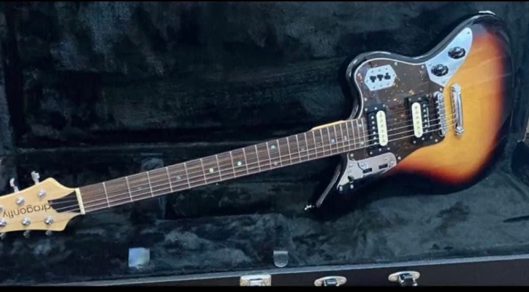 ぽーさん様　dragonfly jaguar666 最終出品　1/25まで