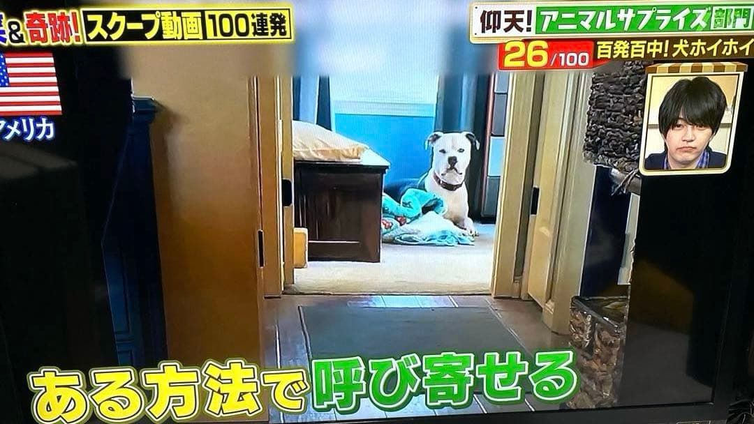 SHARP AQUOS 40型　2013年製　テレビ