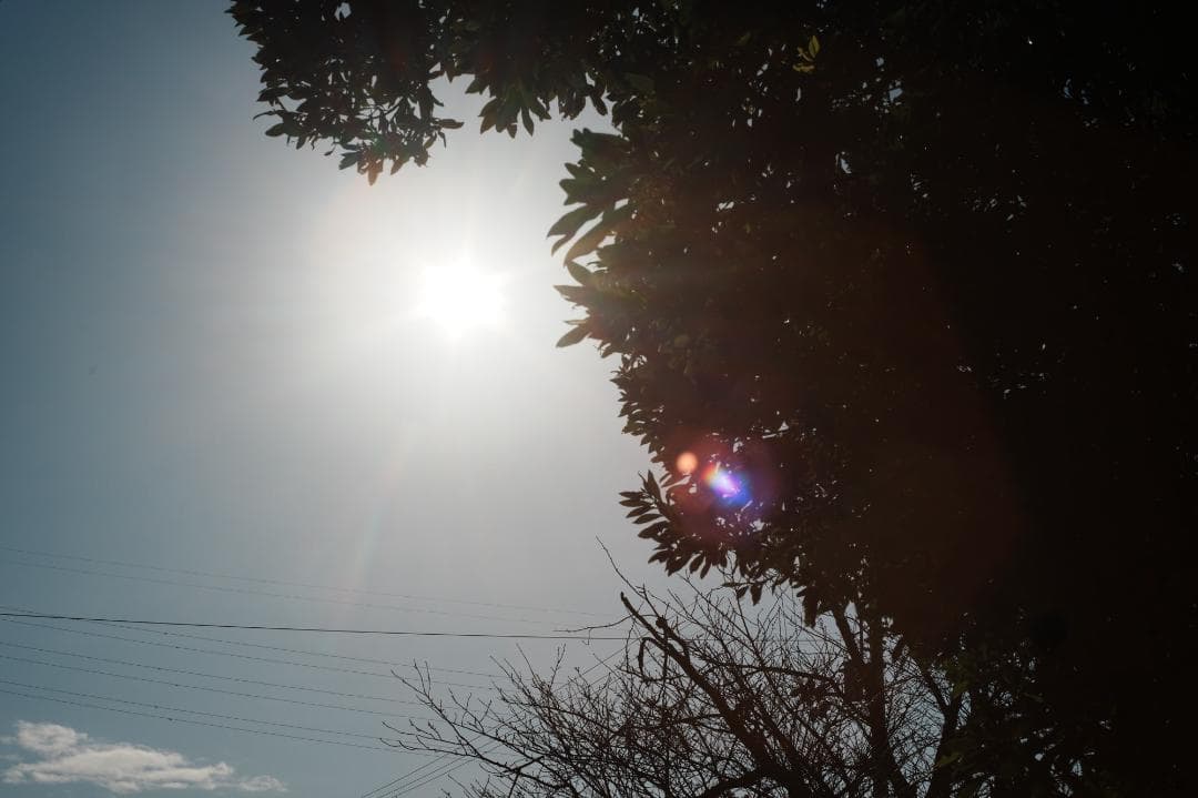 【この値段でライカ級】富岡光学製 XR RIKENON 50mm F2 655