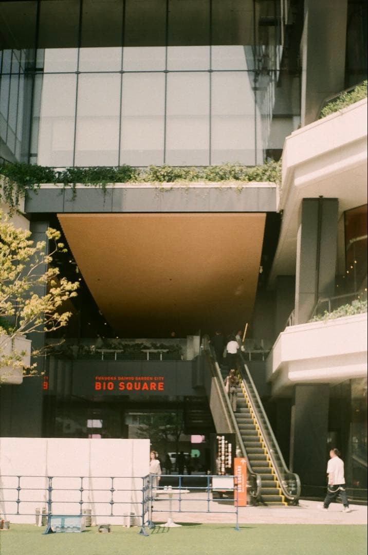 ドイツ製◎Zeiss Ikon Symbolica フィルムカメラ 作例あり