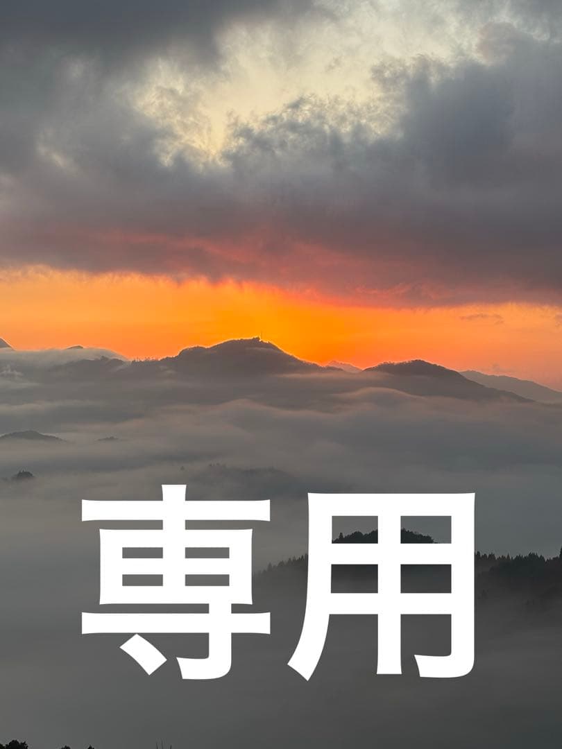 正規品　純正品　フィリップス　PHILIPS ソニッケアー　sonicare