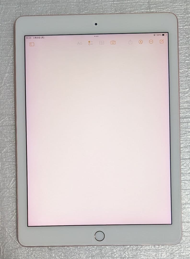 iPad Pro 9.7 インチ 256GB A1673 MM1A2JA