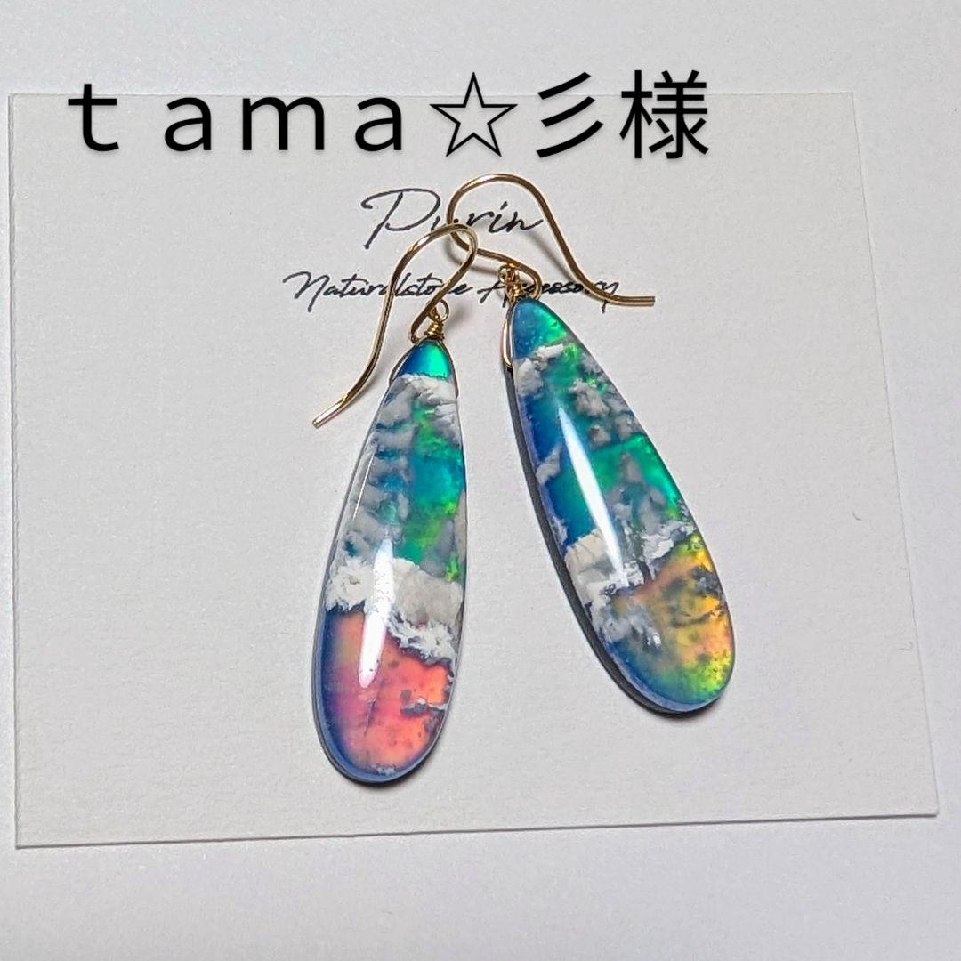 ｔａｍａ☆彡