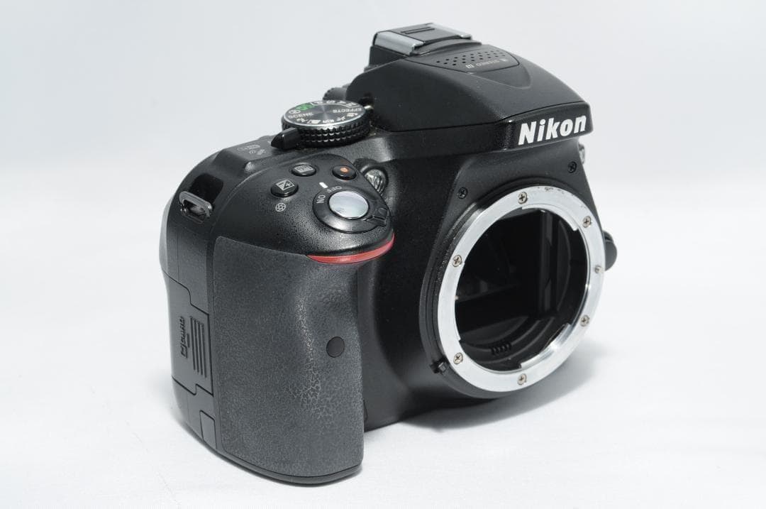 家族も風景写真も綺麗に残す❤️Nikon D5300✨望遠＆標準Wレンズセット