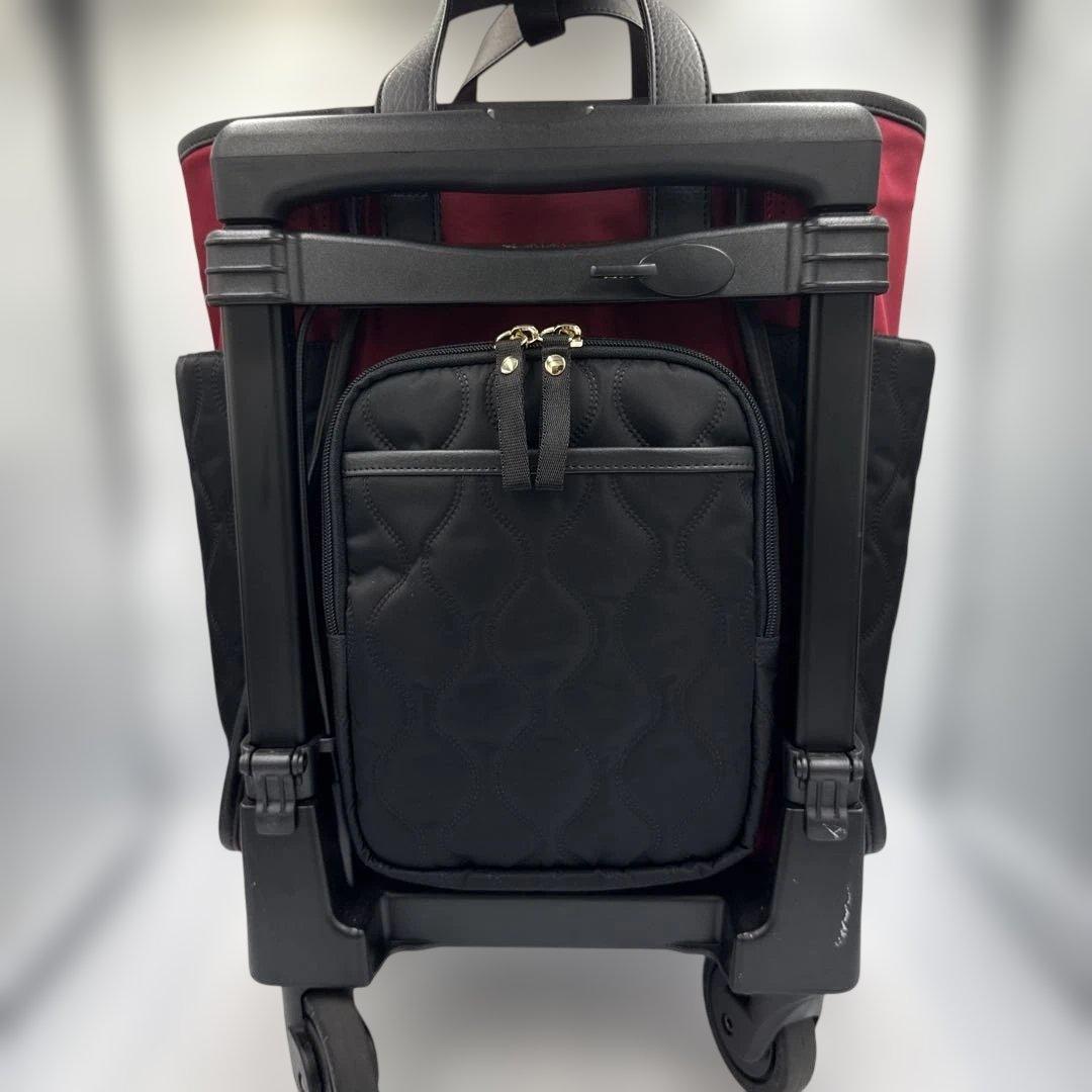 SWANY スワニー　キャリーバッグ D-589 プーフォ M21