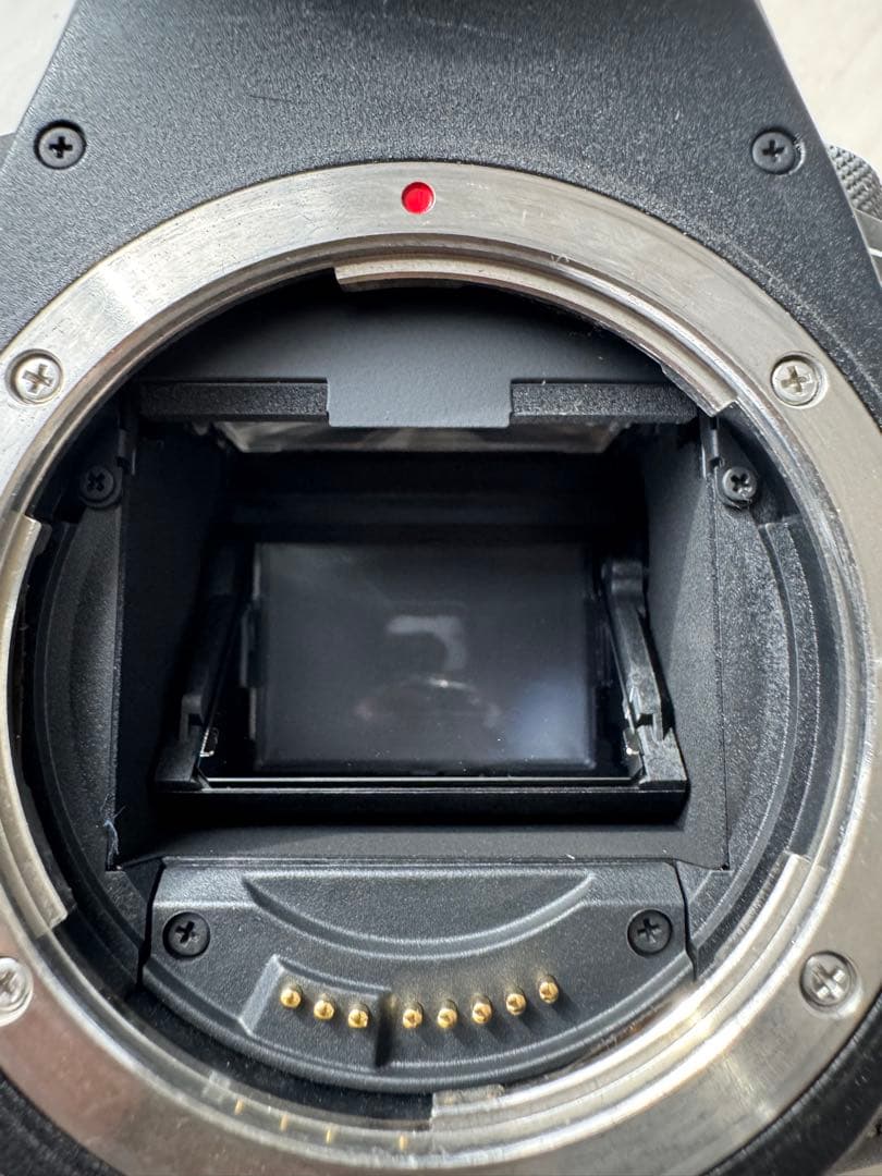 Canon EOS 6D Mark II ボディのみ