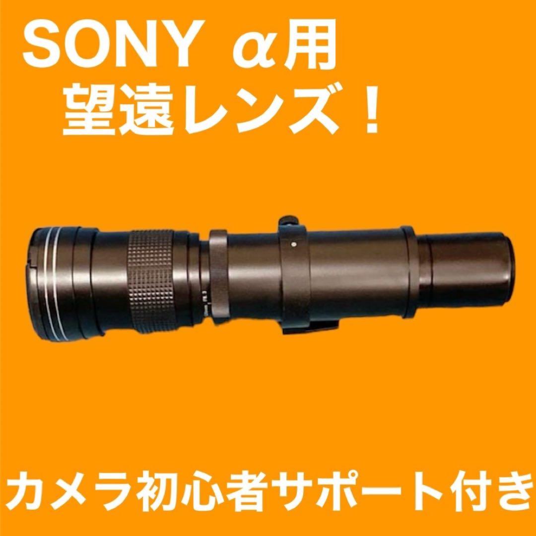 最安！1600まで撮影可能？SONYミラーレス用！αをお持ちの方に！サポート付き