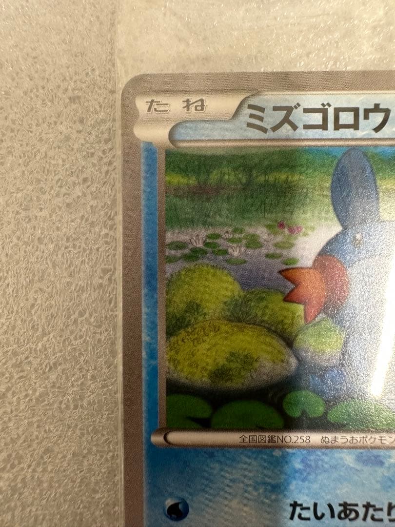 ミズゴロウ、コンビニ購入キャンペーン 未開封プロモ