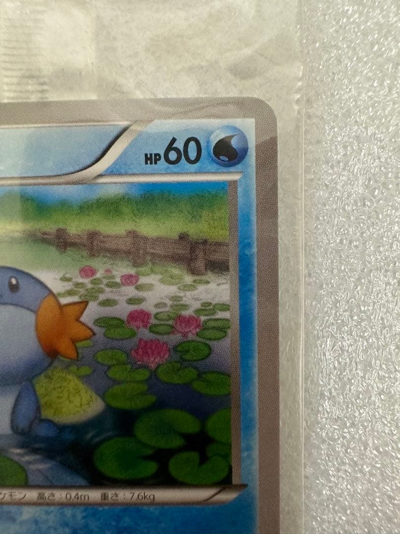 ミズゴロウ、コンビニ購入キャンペーン 未開封プロモ