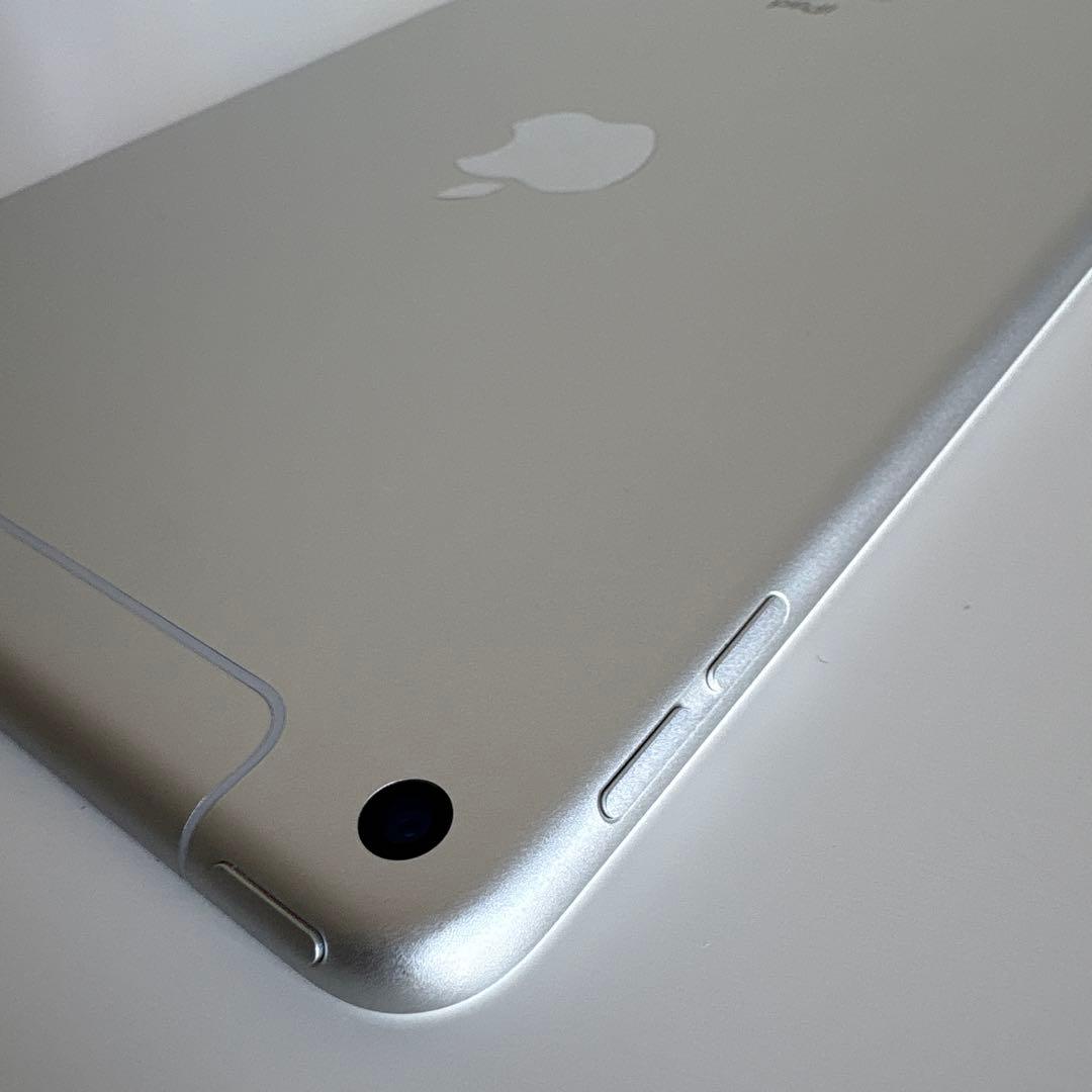 【美品】iPad mini5 Wi-Fi+Cellular モデル 64GB