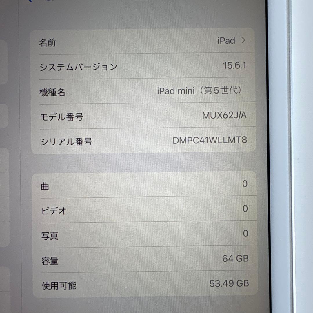 【美品】iPad mini5 Wi-Fi+Cellular モデル 64GB